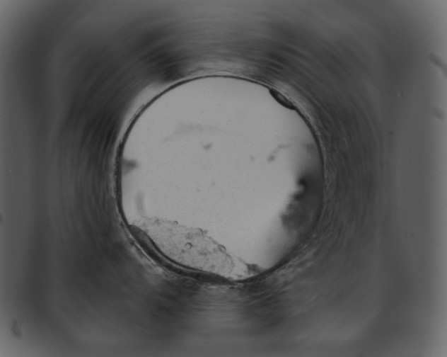 X0000096951104200802291050