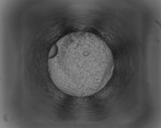 X0000096951105200802291049