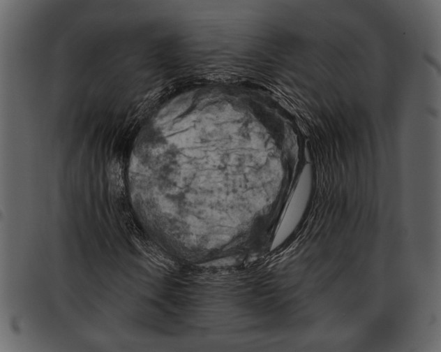 X0000096951106200802291049