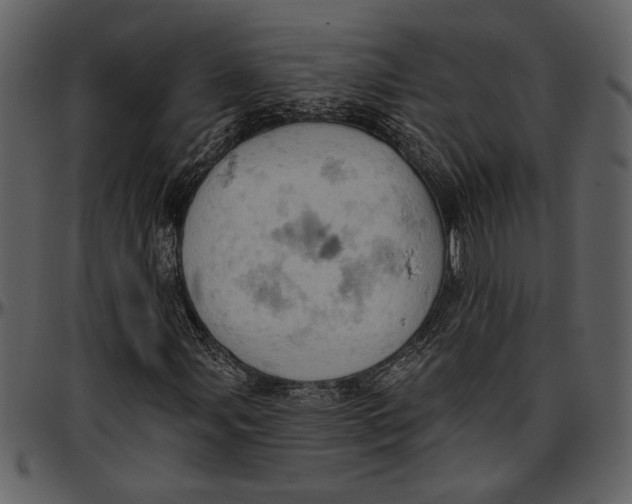 X0000096951107200802291049