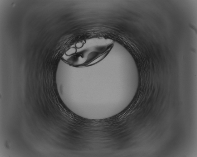 X0000096951108200802291049