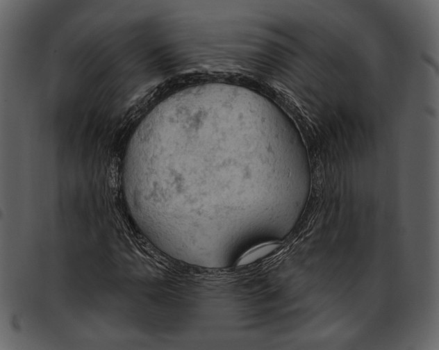 X0000096951110200802291049