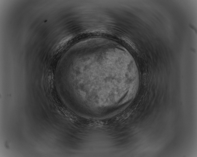 X0000096951111200802291050