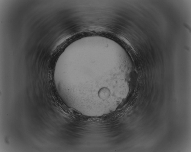 X0000096951112200802291050