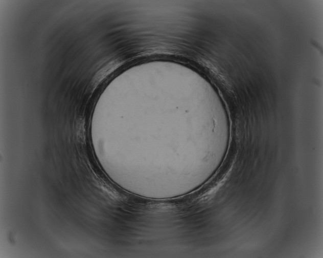 X0000096951113200802291050