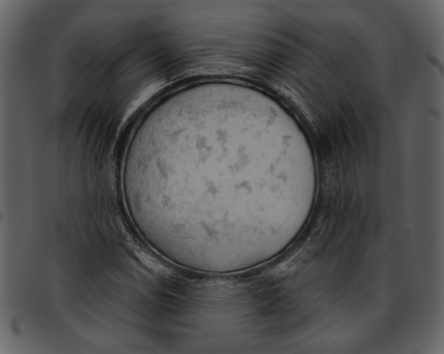 X0000096951114200802291050