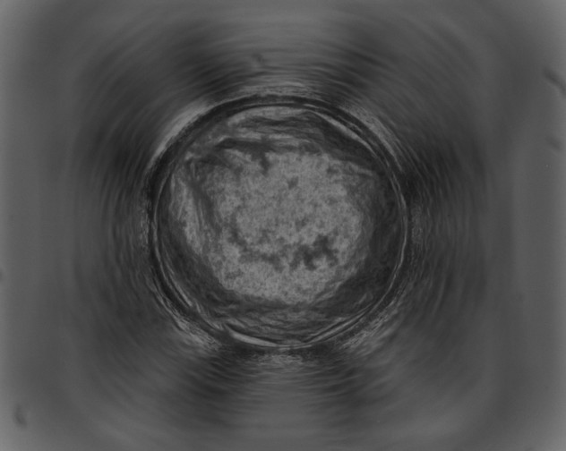 X0000096951115200802291050