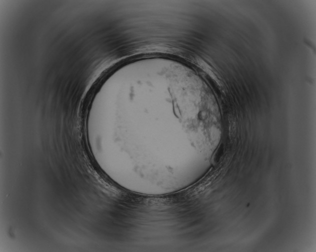 X0000096951116200802291050