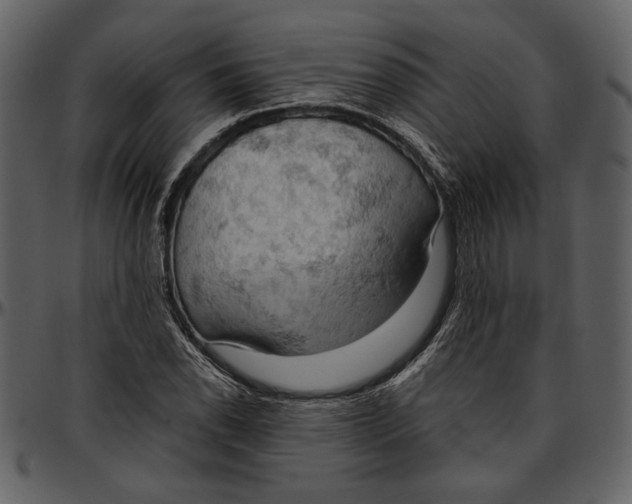 X0000096951118200802291050