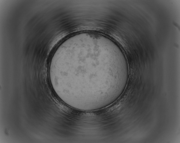 X0000096951119200802291050