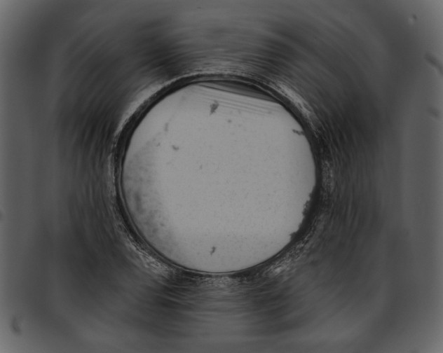 X0000096951120200802291050