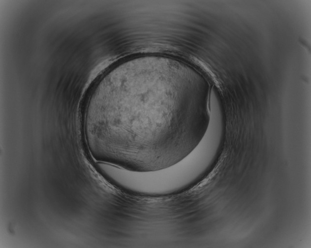 X0000096951122200802291050