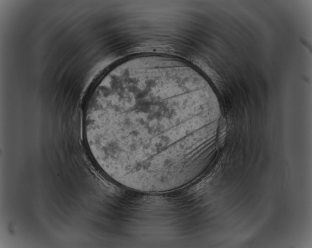 X0000096951123200802291050