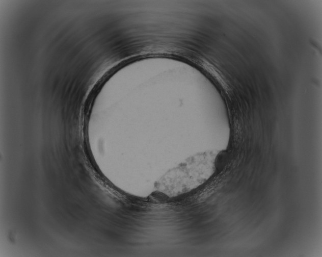 X0000096951124200802291050