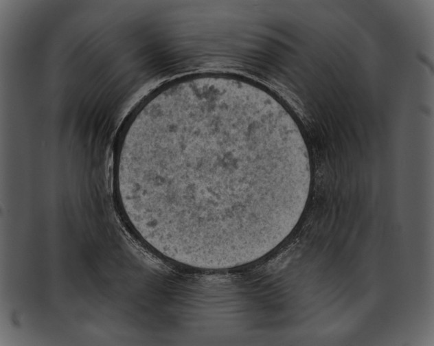 X0000096951126200802291050