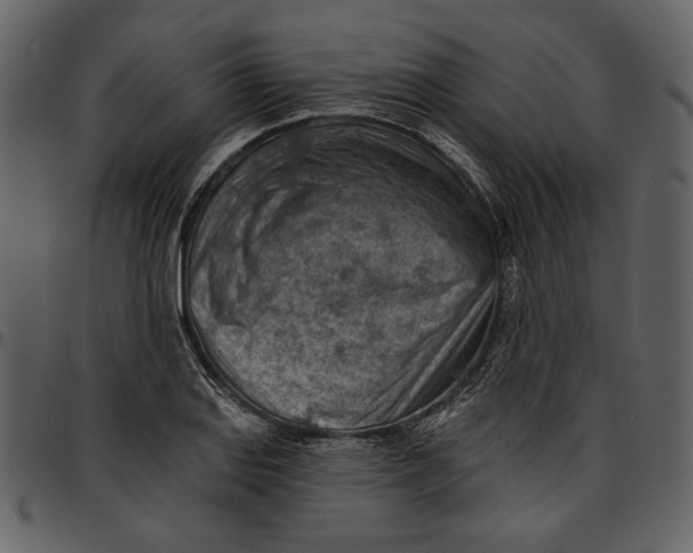 X0000096951127200802291050