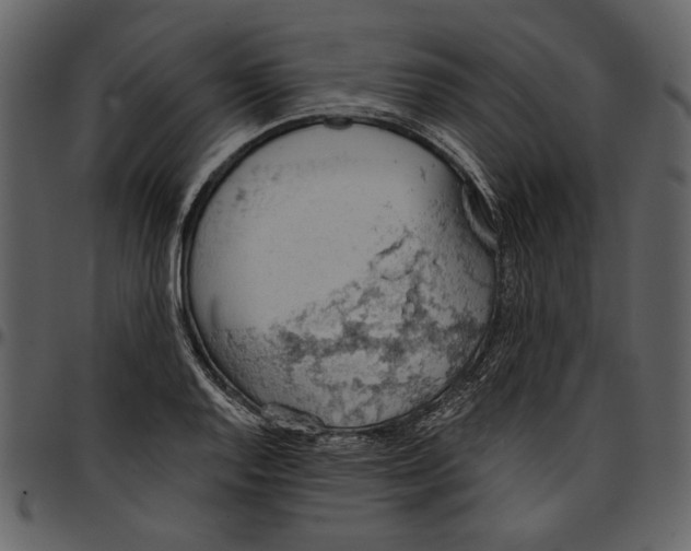 X0000096951128200802291050