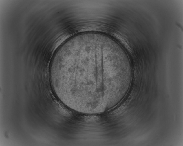 X0000096951129200802291050