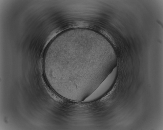 X0000096951130200802291050