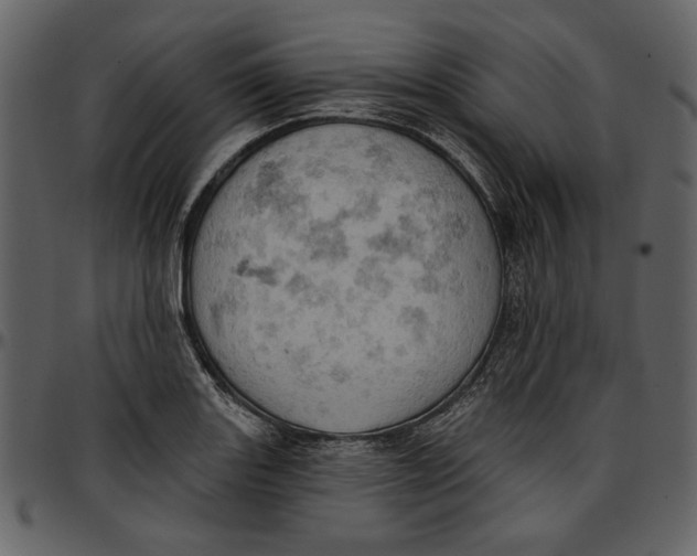 X0000096951131200802291050