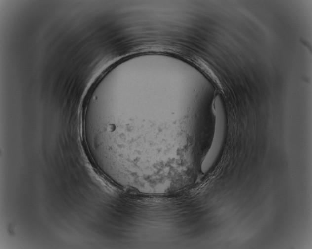 X0000096951132200802291050