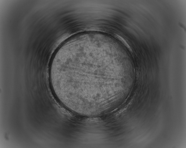 X0000096951133200802291050