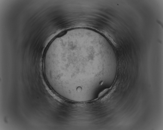 X0000096951134200802291050