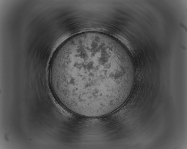 X0000096951135200802291050