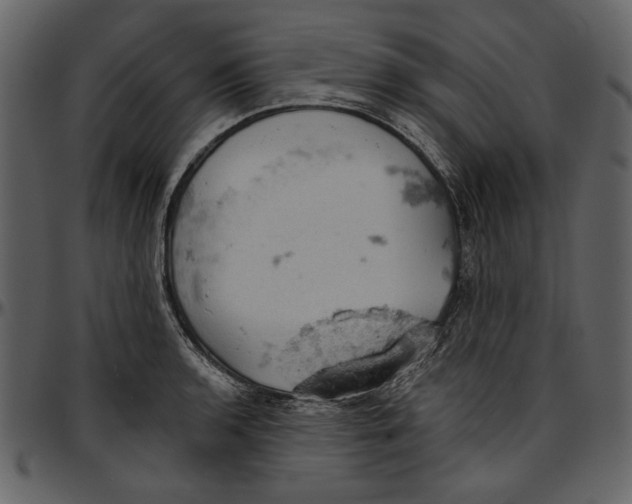 X0000096951136200802291050