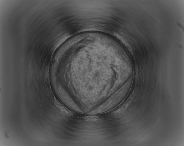 X0000096951137200802291050