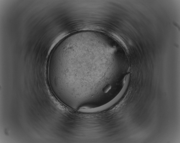 X0000096951138200802291050