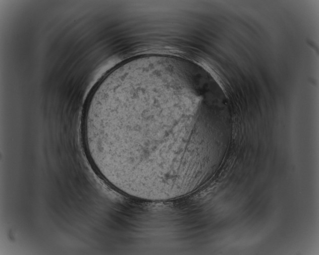 X0000096951139200802291050