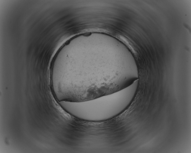 X0000096951140200802291050