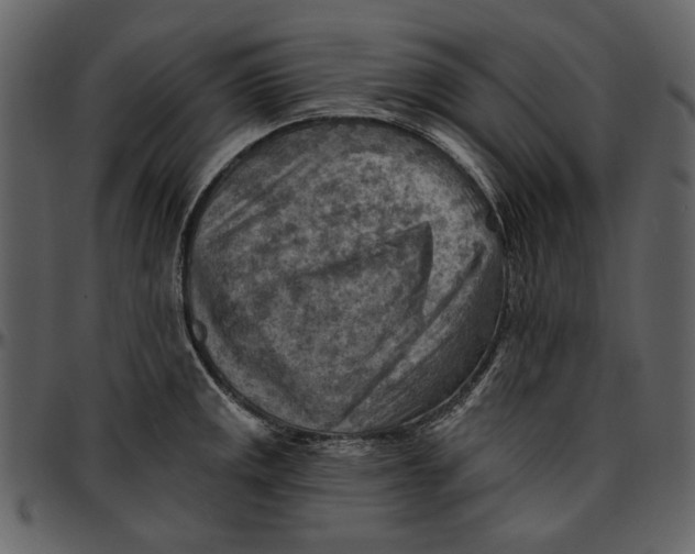 X0000096951141200802291050