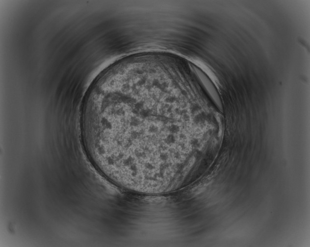 X0000096951142200802291050