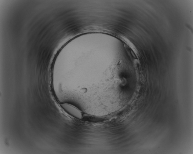 X0000096951144200802291050