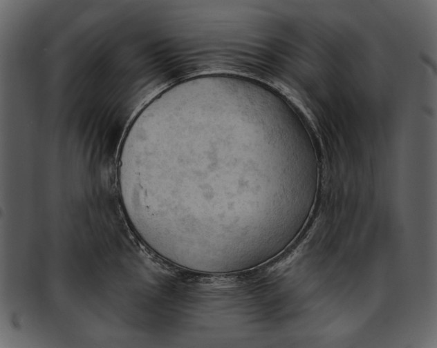 X0000096951145200802291050