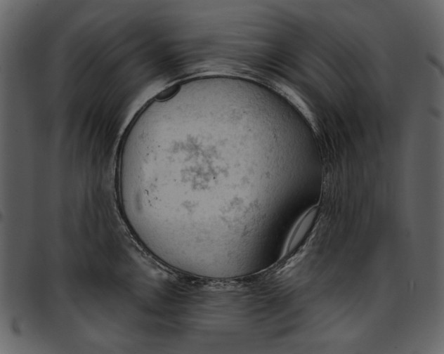 X0000096951146200802291050