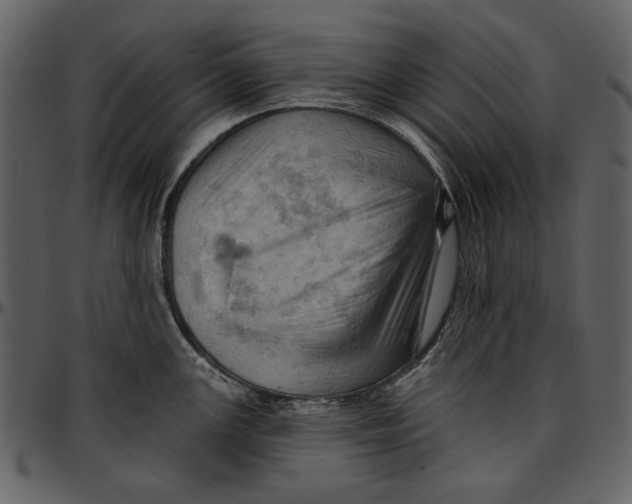 X0000096951147200802291050