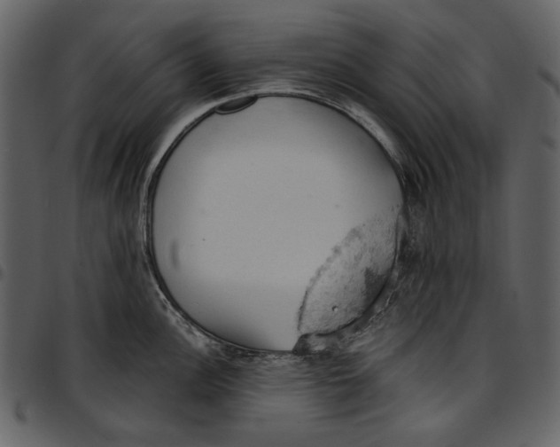 X0000096951148200802291050