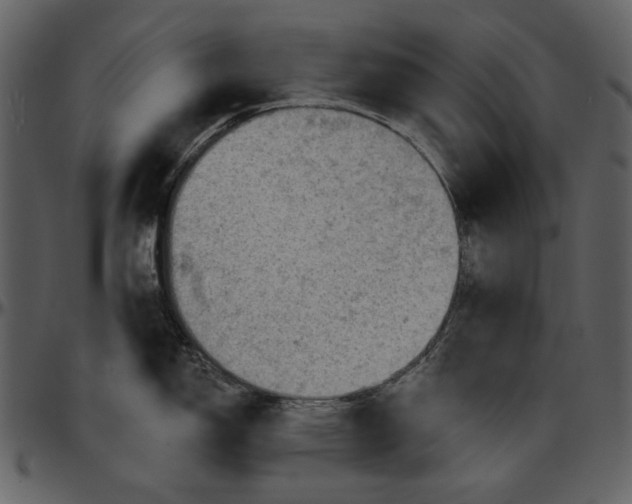 X0000096951150200802291050