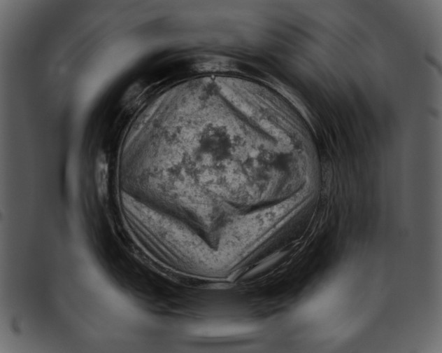 X0000096951151200802291050