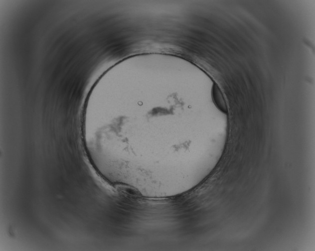 X0000096951152200802291050