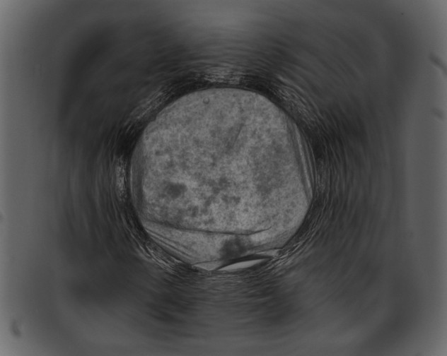 X0000096951154200802291049