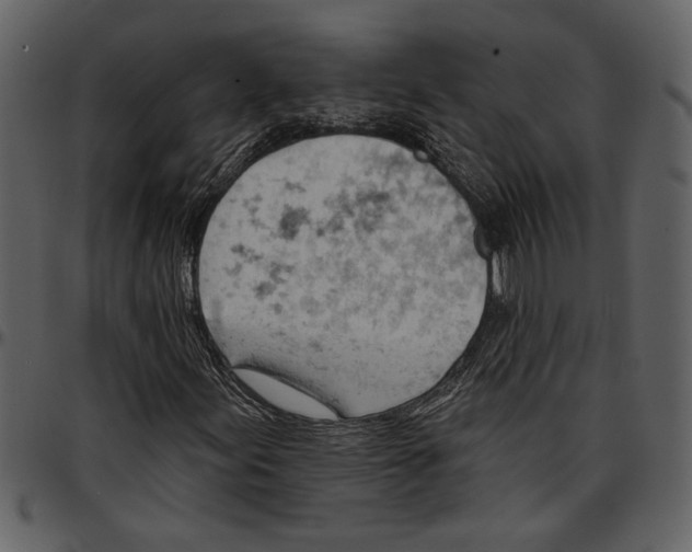 X0000096951155200802291049