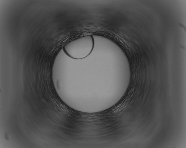 X0000096951156200802291049