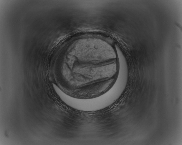 X0000096951157200802291049