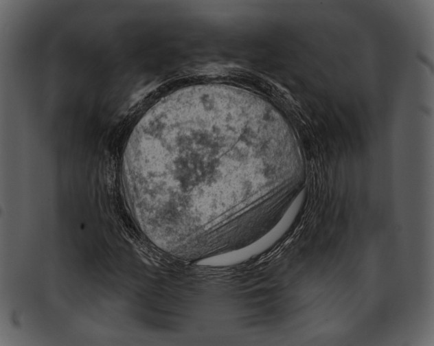 X0000096951158200802291049