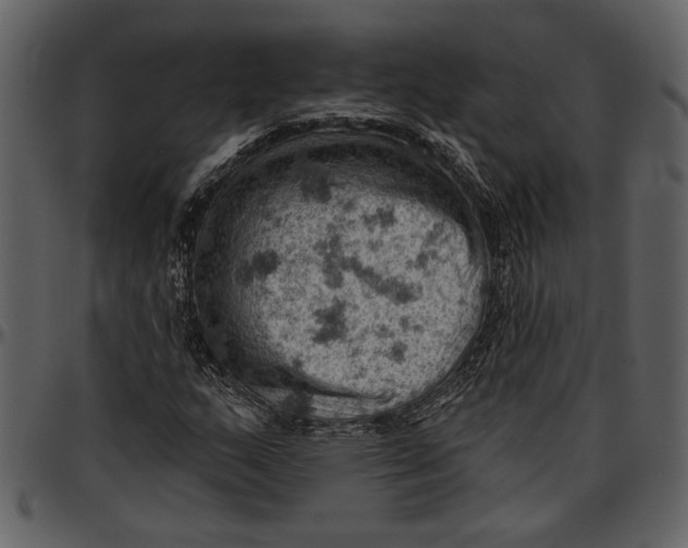 X0000096951159200802291049