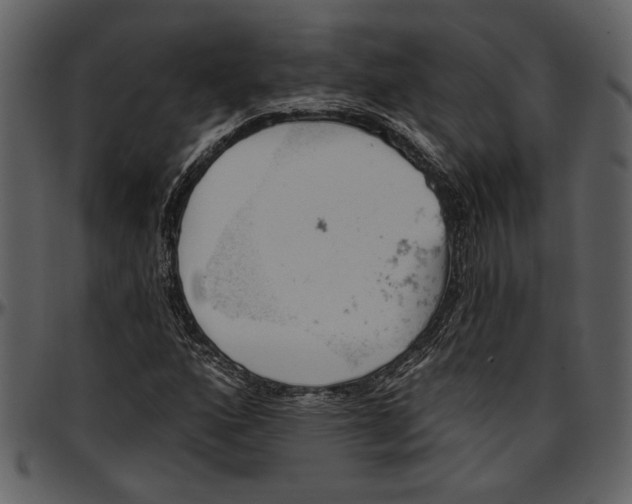 X0000096951160200802291049